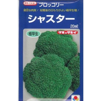 画像1: 送料無料　[ブロッコリー]　シャスター　20ml　タキイ種苗(株)