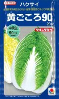 送料無料　[白菜]　黄ごころ90　20ml　タキイ種苗(株)