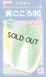 送料無料　[白菜]　黄ごころ90　20ml　タキイ種苗(株)