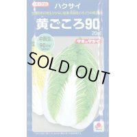 [白菜]　黄ごころ90　20ｍｌ　タキイ種苗（株）