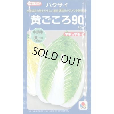 画像1: 送料無料　[白菜]　黄ごころ90　20ml　タキイ種苗(株)