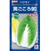 画像1: [白菜]　黄ごころ90　20ｍｌ　タキイ種苗（株） (1)