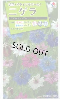 送料無料　花の種　ニゲラ　ペルシャンジュエル　1.5ml　タキイ種苗（株）NL200