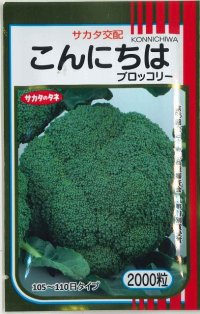 送料無料　[ブロッコリー]　こんにちは　2000粒　(株)サカタのタネ