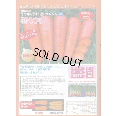 画像2: 送料無料　[人参]　恋うさぎ　250粒　ナント種苗(株)