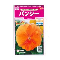 花の種　パンジー　パシオ　 クリアオレンジ　約34粒　　サカタのタネ（株） 実咲350(026136)