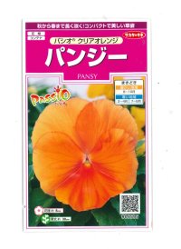 花の種　パンジー　パシオ　 クリアオレンジ　約34粒　　サカタのタネ（株） 実咲350(026136)