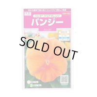 花の種　パンジー　パシオ　 クリアオレンジ　約34粒　　サカタのタネ（株） 実咲350(026136)
