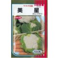 送料無料　[カリフラワー]　美星　2000粒　貴種(コートしてません)　(株)サカタのタネ