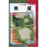 送料無料　[カリフラワー]　美星　2000粒　貴種(コートしてません)　(株)サカタのタネ