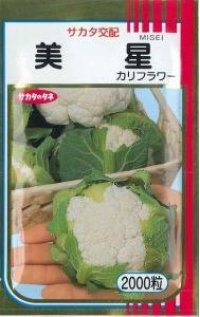 送料無料　[カリフラワー]　美星　2000粒　貴種(コートしてません)　(株)サカタのタネ