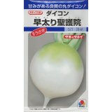 送料無料　[大根]　早太り聖護院　18ml　タキイ種苗(株)　DF