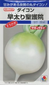 送料無料　[大根]　早太り聖護院　18ml　タキイ種苗(株)　DF