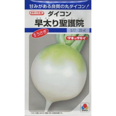 画像1: 送料無料　[大根]　早太り聖護院　18ml　タキイ種苗(株)　DF
