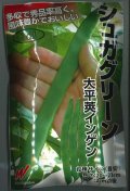 送料無料　[いんげん]　シュガグリーン　1dl　渡辺農事