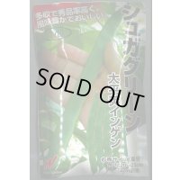送料無料　[いんげん]　シュガグリーン　1dl　渡辺農事（株）