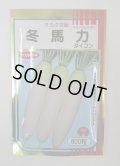送料無料　大根　冬馬力　800粒　(株)サカタのタネ