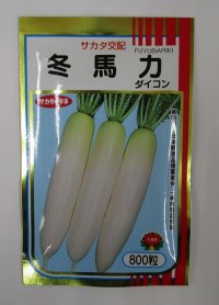 送料無料　大根　冬馬力　800粒　(株)サカタのタネ
