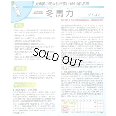 画像3: 送料無料　大根　冬馬力　8000粒　(株)サカタのタネ