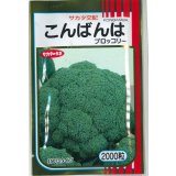 送料無料　[ブロッコリー]　こんばんは　2000粒　(株)サカタのタネ