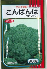 送料無料　[ブロッコリー]　こんばんは　2000粒　(株)サカタのタネ