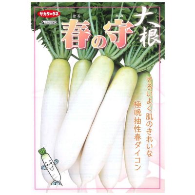 画像3: 送料無料 [大根] 春の守 ペレット種子5000粒 (株)サカタのタネ