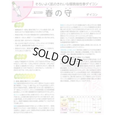 画像4: 送料無料　[大根]　春の守　800粒　(株)サカタのタネ