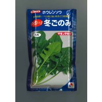 送料無料　[ほうれんそう]　冬ごのみ　1dl　タキイ種苗(株)