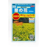 送料無料　花の種　景観用　菜の花　寒咲系混合　約5平米用　（株）サカタのタネ　実咲350（026177）