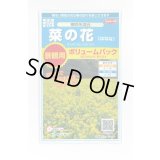 送料無料　花の種　景観用　菜の花　寒咲系混合　約5平米用　（株）サカタのタネ　実咲350（026177）