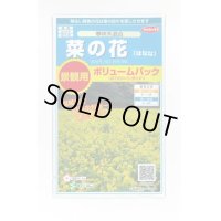 花の種　　景観用　　菜の花　寒咲系混合　約5平米用　サカタのタネ（株）実咲350