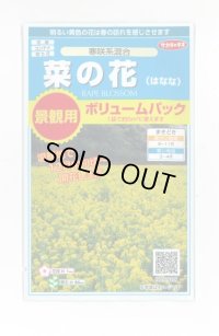 花の種　　景観用　　菜の花　寒咲系混合　約5平米用　サカタのタネ（株）実咲350