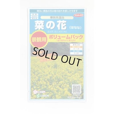 画像1: 花の種　　景観用　　菜の花　寒咲系混合　約5平米用　サカタのタネ（株）実咲350