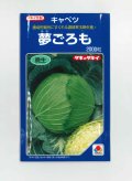 送料無料　[キャベツ]　夢ごろも　2000粒　タキイ種苗(株)