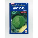 送料無料　[キャベツ]　夢ごろも　2000粒　タキイ種苗(株)
