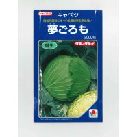 送料無料　[キャベツ]　夢ごろも　2000粒　タキイ種苗(株)