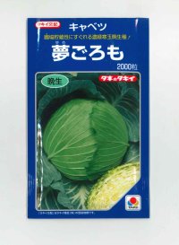 送料無料　[キャベツ]　夢ごろも　2000粒　タキイ種苗(株)