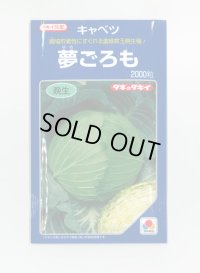 [キャベツ]　夢ごろも　2000粒　タキイ種苗（株）