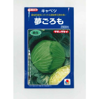 画像1: 送料無料　[キャベツ]　夢ごろも　2000粒　タキイ種苗(株)