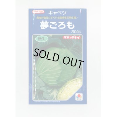 画像1: [キャベツ]　夢ごろも　2000粒　タキイ種苗（株）