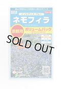 送料無料　花の種　景観用　ネモフィラ　インシグニスブルー　約3平米用　(株)サカタのタネ　実咲350（026178）