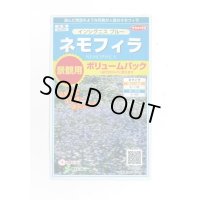 花の種 　景観用　   ネモフィラ　インシグニスブルー　約３平米用　　サカタのタネ（株）実咲350