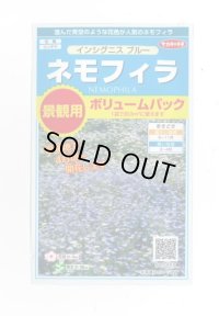 花の種 　景観用　   ネモフィラ　インシグニスブルー　約３平米用　　サカタのタネ（株）実咲350