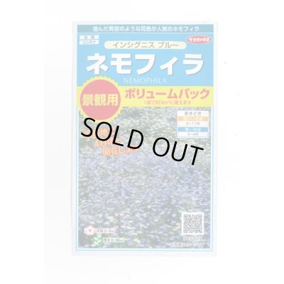 画像1: 送料無料　花の種　景観用　ネモフィラ　インシグニスブルー　約3平米用　(株)サカタのタネ　実咲350（026178）