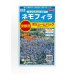 画像1: 花の種 　景観用　   ネモフィラ　インシグニスブルー　約３平米用　　サカタのタネ（株）実咲350 (1)