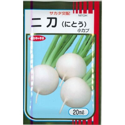 画像1: 送料無料　[かぶ]　二刀　20ml　(株)サカタのタネ
