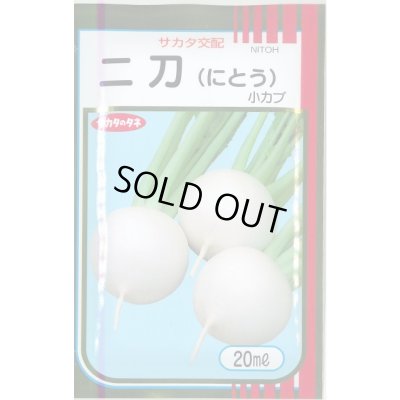 画像1: 送料無料　[かぶ]　二刀　20ml　(株)サカタのタネ
