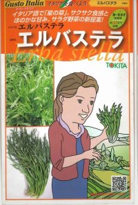 [イタリア野菜]　エルバステラ　1000粒　 トキタ種苗