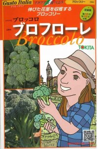 [イタリア野菜]　ブロフローレ　50粒　 トキタ種苗