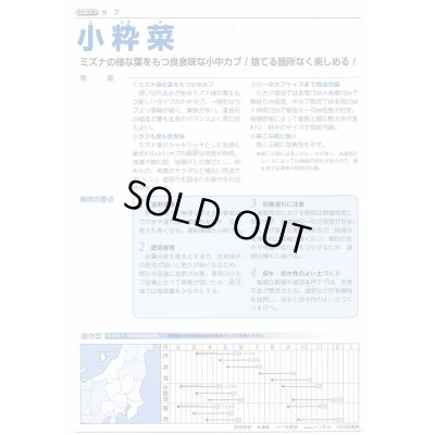 画像4: 送料無料　[かぶ]　小粋菜　3ml　タキイ種苗(株)